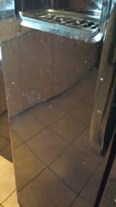 11198431_10206479111077087_746033669_n