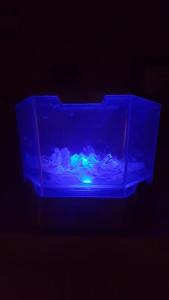 12092656_10207728209023755_544591760_n