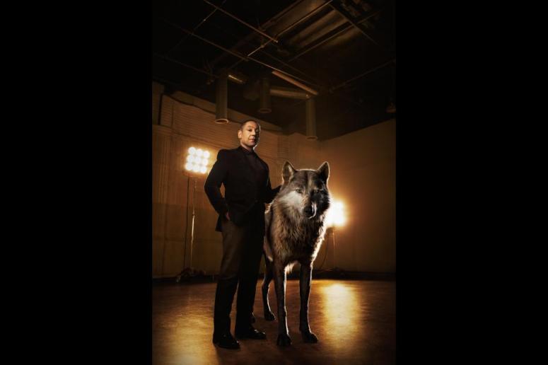 thejunglebook56f01e019a38c